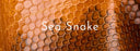 Sea Snake Leather: 6-Sided Elegance