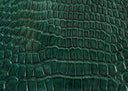 Alligator Leather: Ultimate Luxury