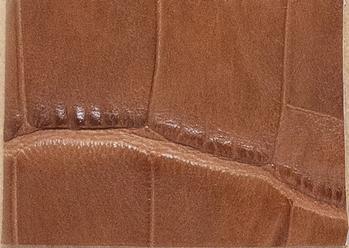 Crocodile
