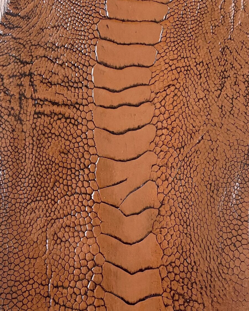 Ostrich